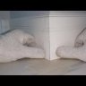 Видео товара